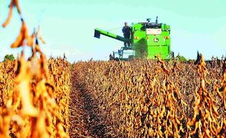 國家大豆產(chǎn)業(yè)技術(shù)體系首席科學家韓天富 大豆種業(yè)挑戰(zhàn)與機遇并存