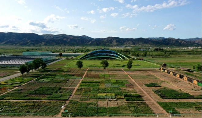 蒙草生態上市十周年:種業為本、科研當先