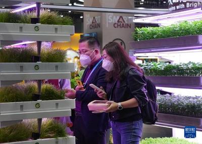 進(jìn)博會(huì)上的農(nóng)業(yè)革命 集裝箱里種菜看種業(yè)創(chuàng)新