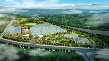 加強國際交流合作，推進花卉種業再上新臺階